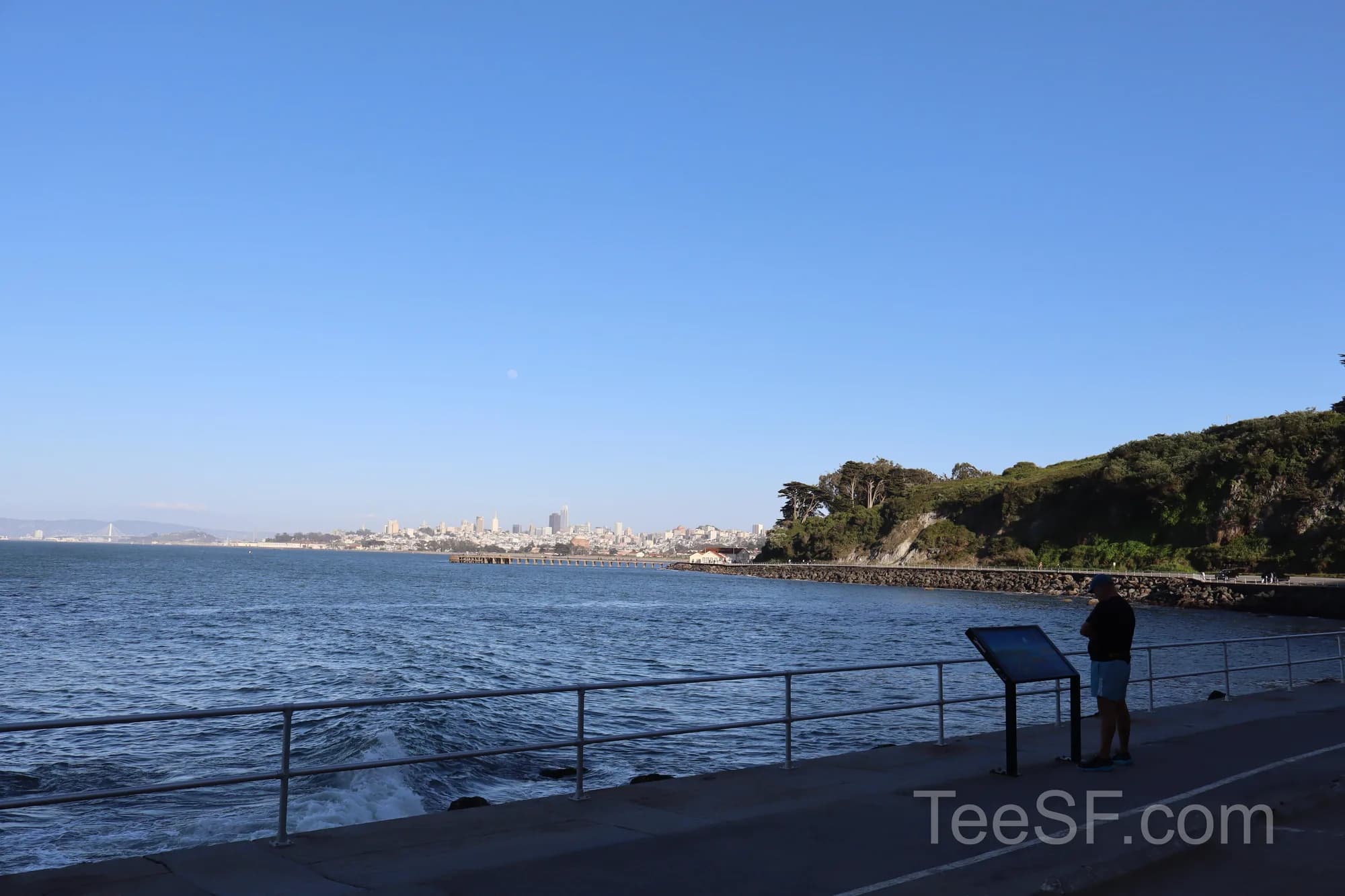 San Francisco skyline seen across the bay